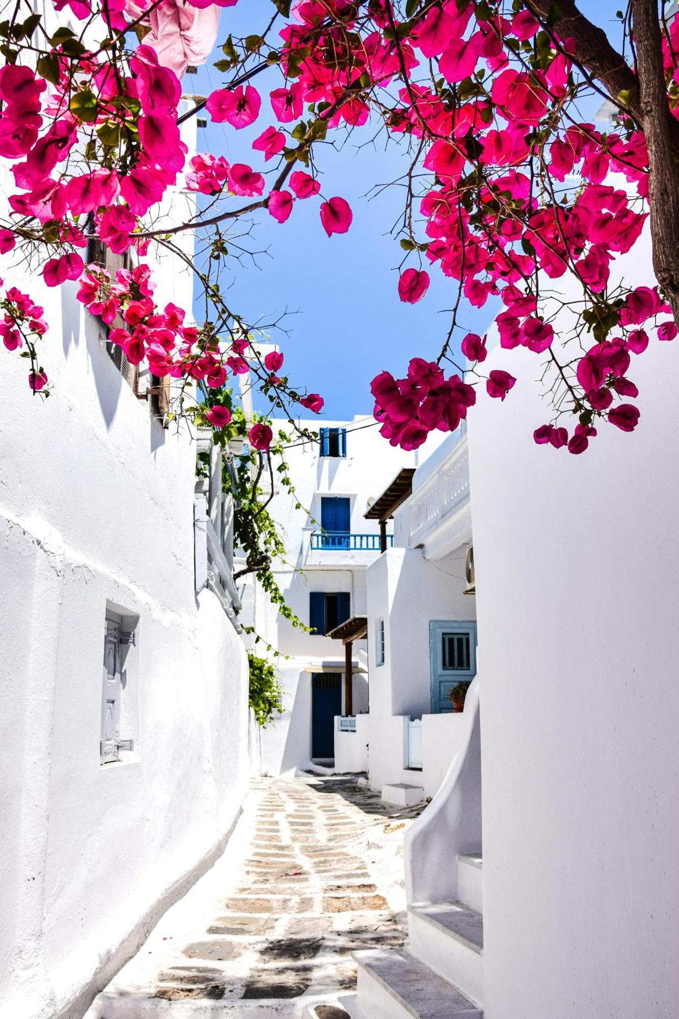 Aniko Suites White Alley Mykonos Town エクステリア 写真